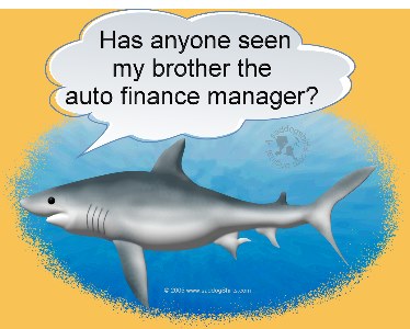 ../Images/shark car finance mgr  brother L.jpg